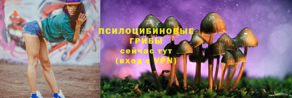 соль курить ск Алексеевка